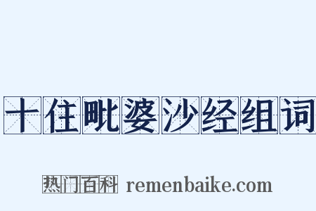 十住毗婆沙经组词是什么意思的图片